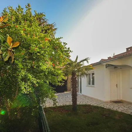 Cukon 梅杜林